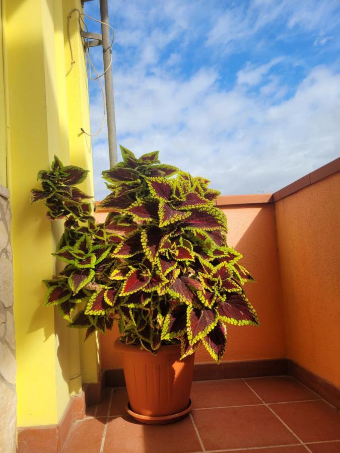 Villa Butterflyhouse Monserrato Exterior foto